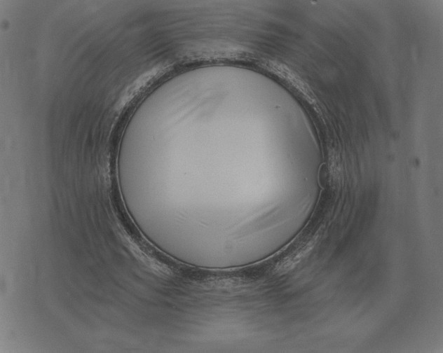 X0000073540629200608211855