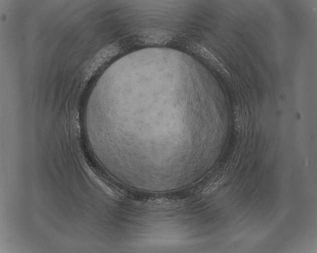 X0000073540634200608211855
