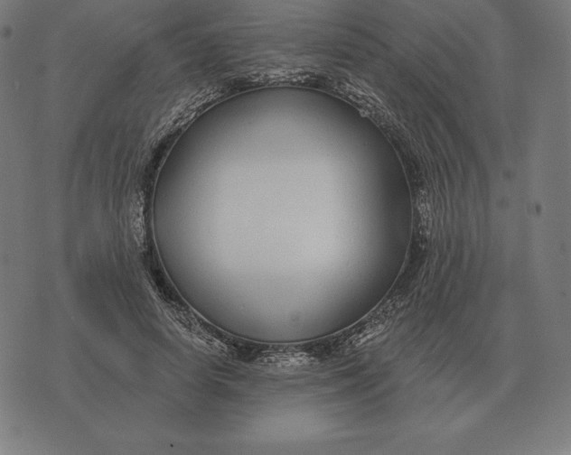 X0000073540642200608211856