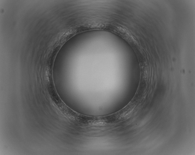 X0000073540643200608211856