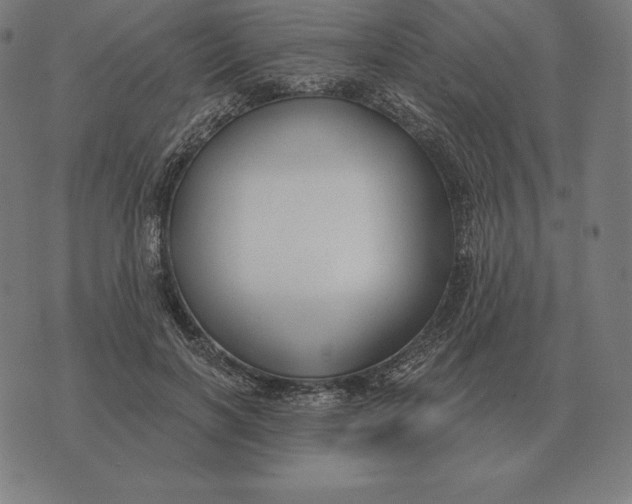 X0000073540646200608211856