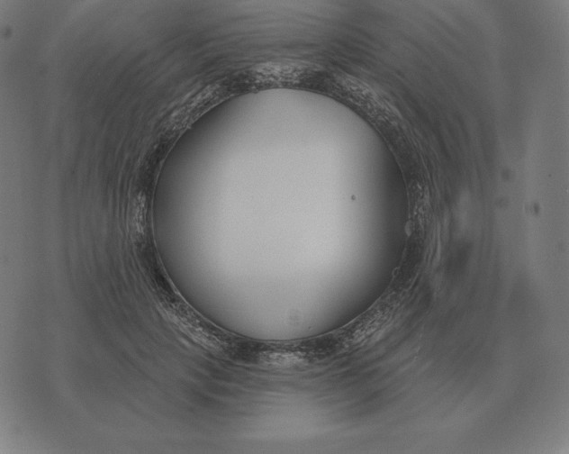 X0000073540649200608211856