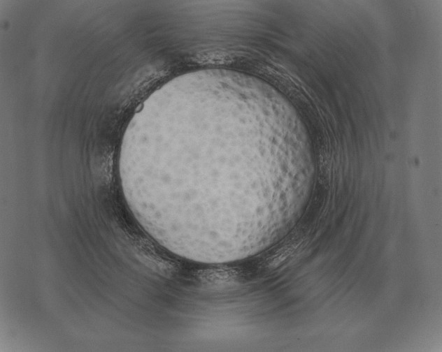 X0000073540652200608211856