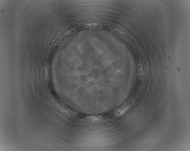 X0000073540654200608211856