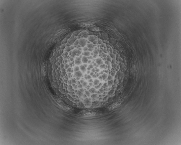 X0000073540658200608211856