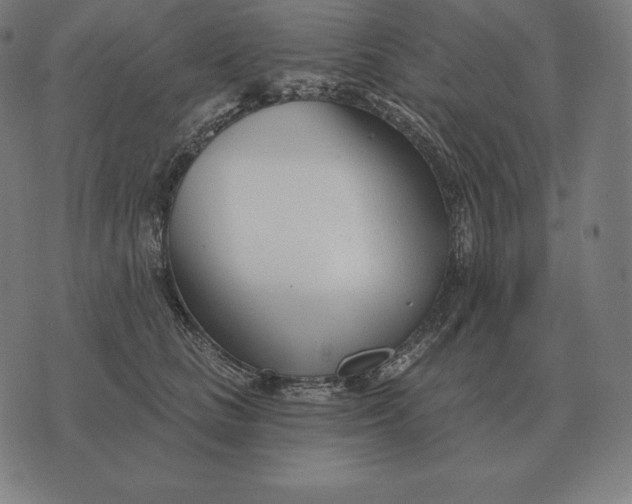 X0000073540661200608211856