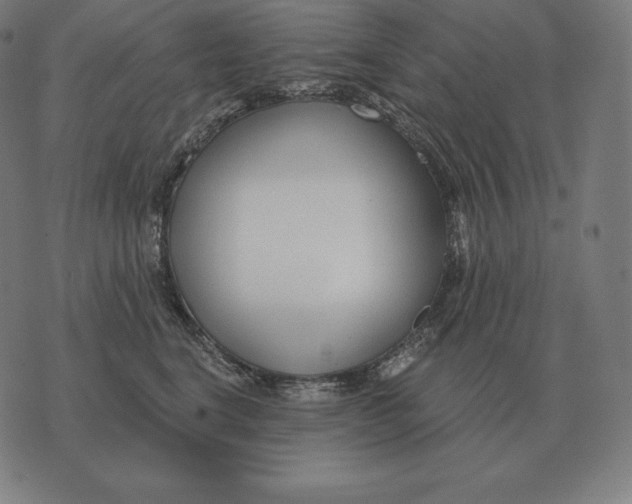 X0000073540664200608211856