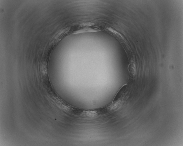X0000073540665200608211856