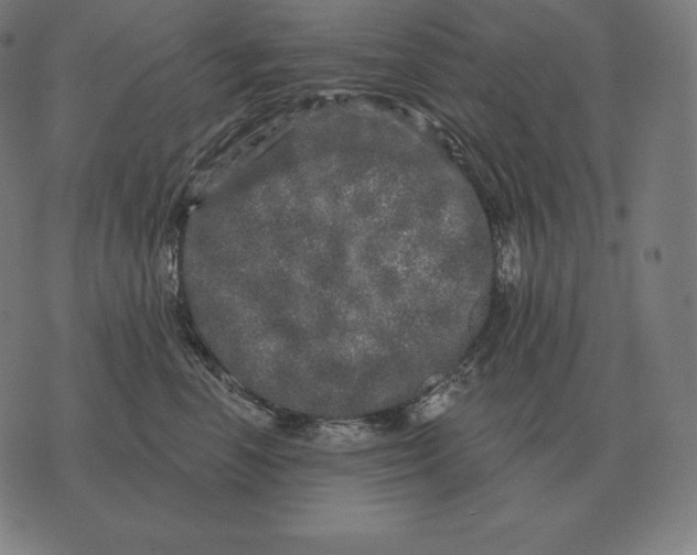 X0000073540666200608211856