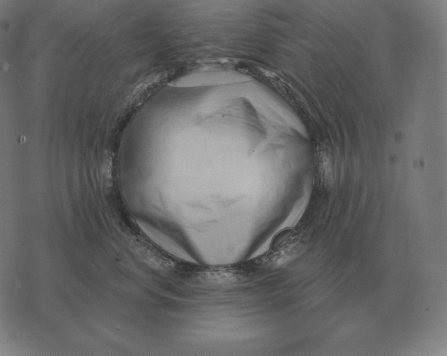 X0000073540668200608211856