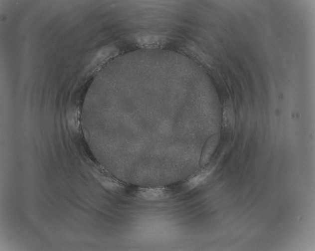 X0000073540671200608211856