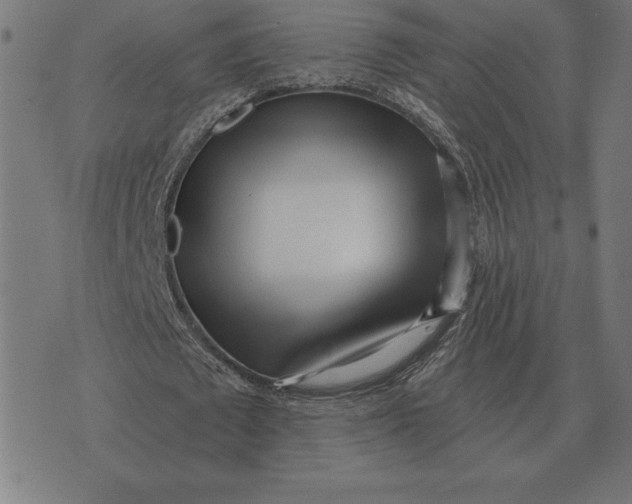 X0000073540673200608211855