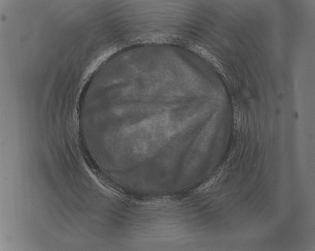 X0000073540674200608211855