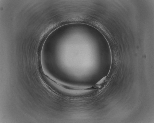 X0000073540677200608211855