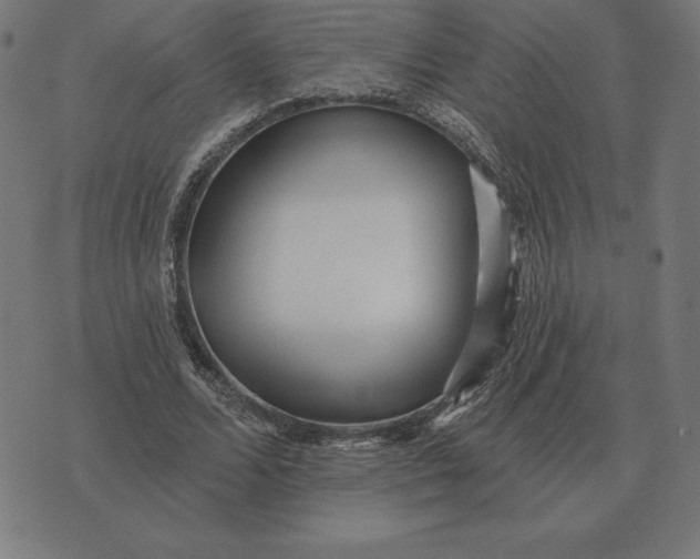 X0000073540680200608211855