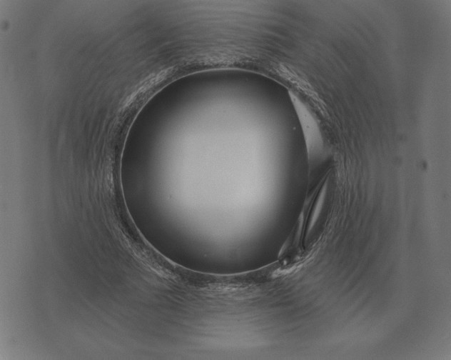 X0000073540681200608211855