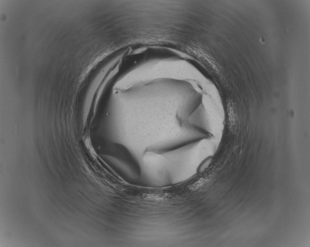 X0000073540684200608211855