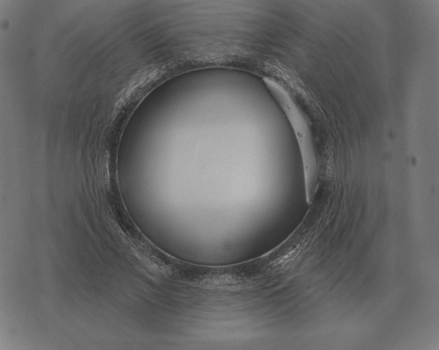 X0000073540685200608211855