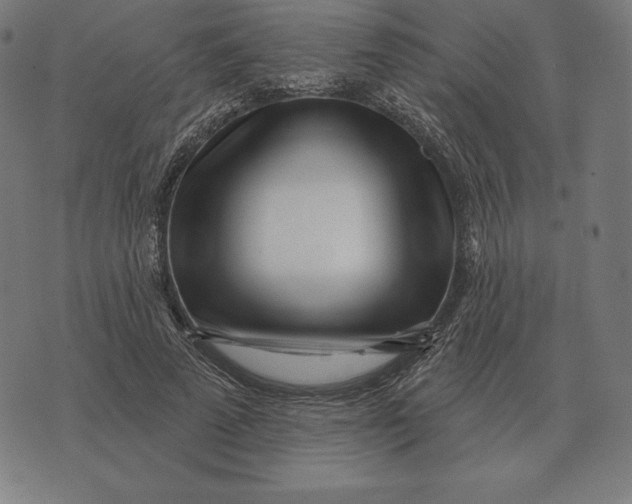 X0000073540689200608211855