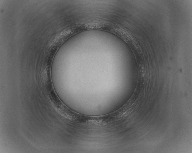 X0000073540690200608211855