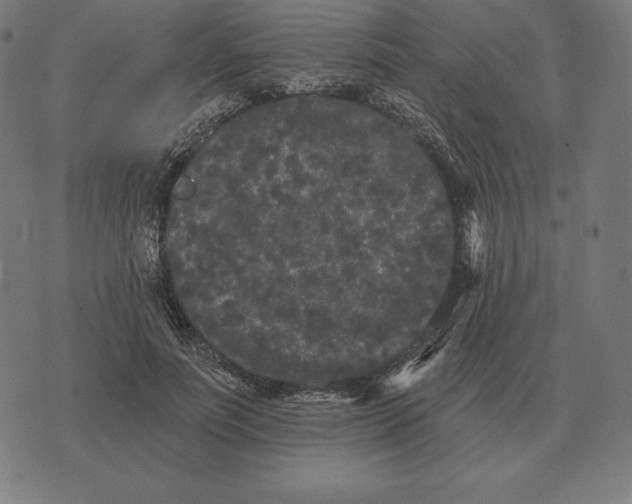 X0000073540691200608211855