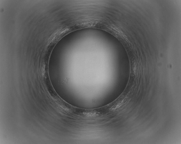 X0000073540693200608211855