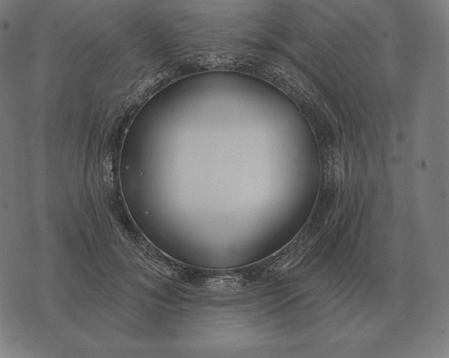 X0000073540700200608211855