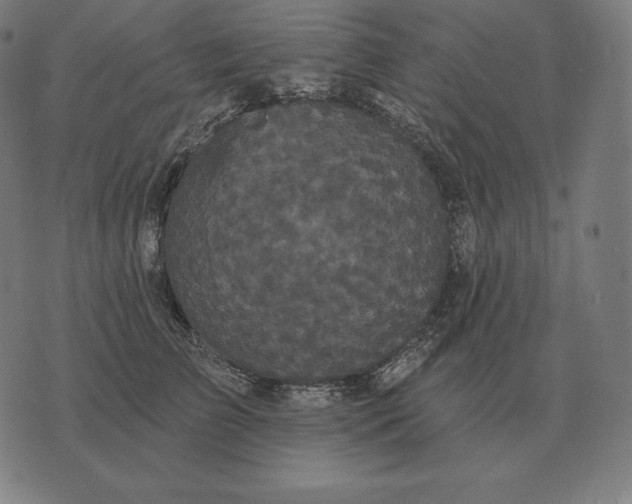 X0000073540709200608211855