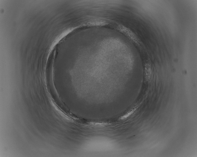 X0000073540726200608211854
