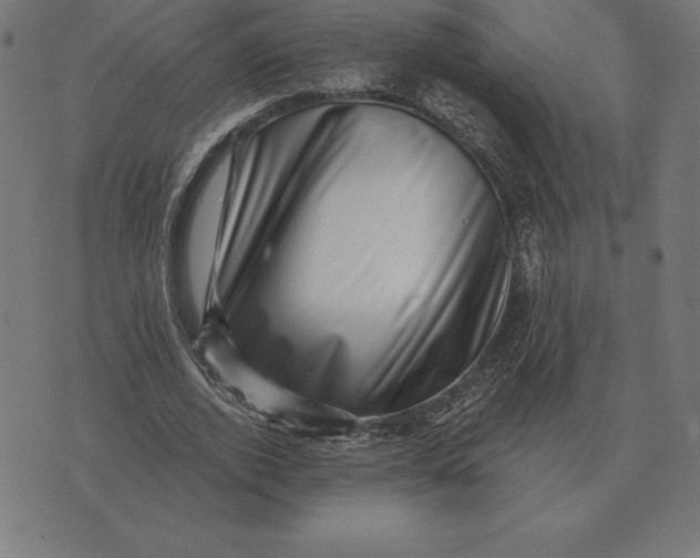 X0000073540728200608211854