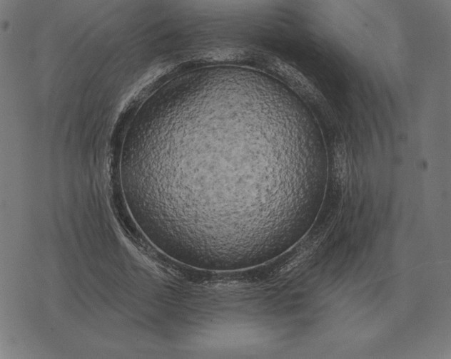 X0000073540730200608211854
