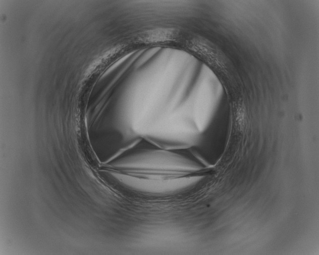 X0000073540732200608211854