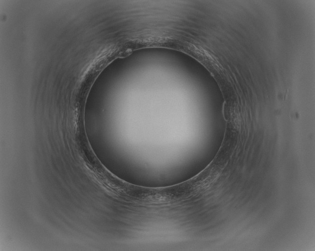 X0000073540735200608211854