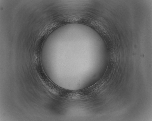 X0000073540743200608211854