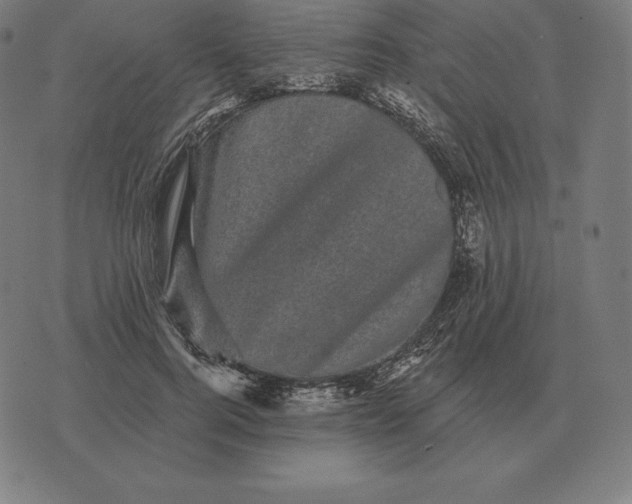 X0000073540744200608211854