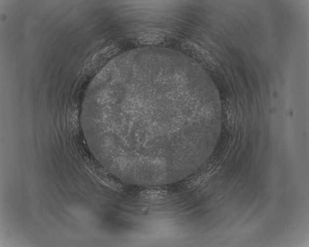 X0000073540745200608211854