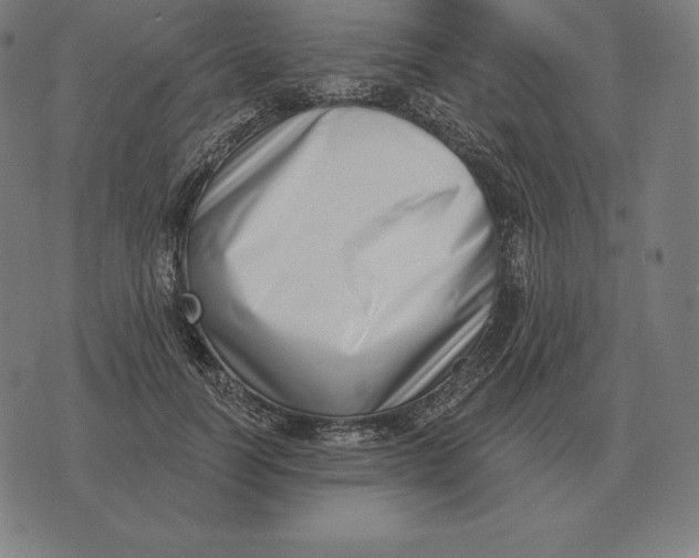 X0000073540746200608211854