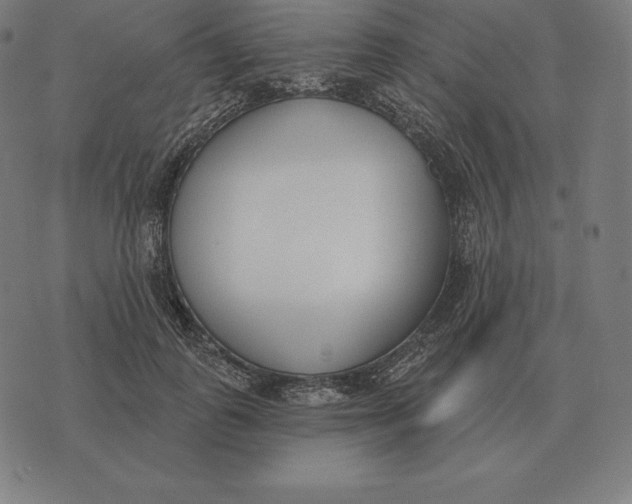 X0000073540747200608211854