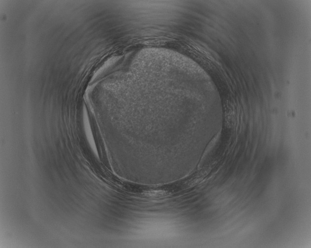 X0000073540748200608211854