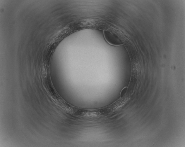 X0000073540751200608211854