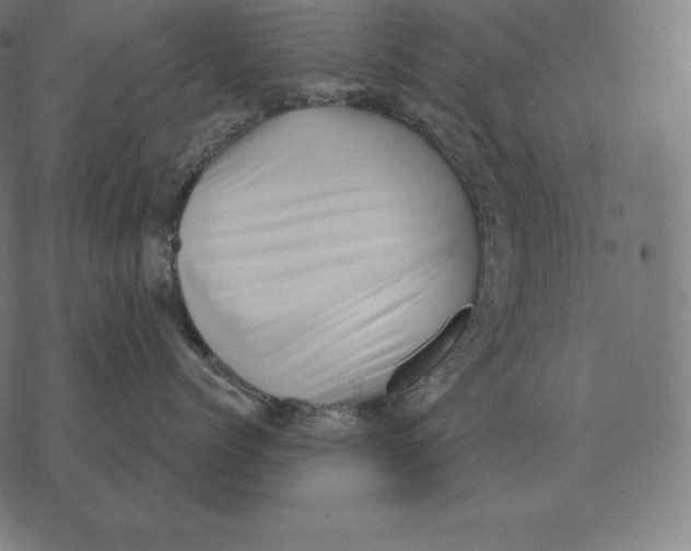 X0000073540768200608211855