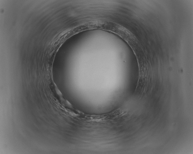 X0000073540773200608211854