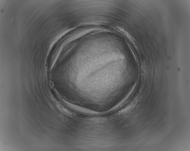 X0000073540779200608211854
