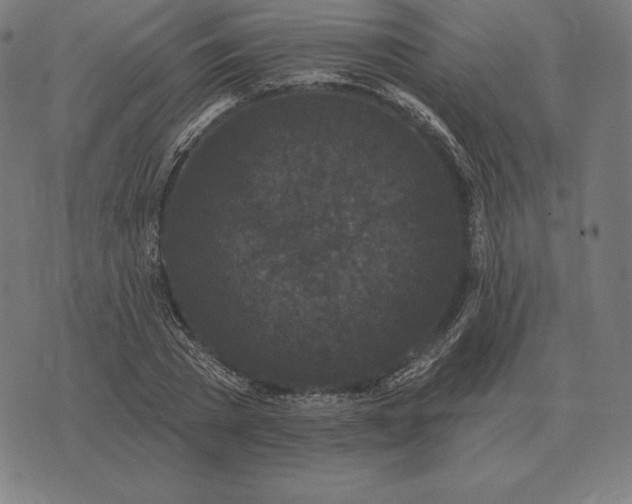 X0000073540785200608211854