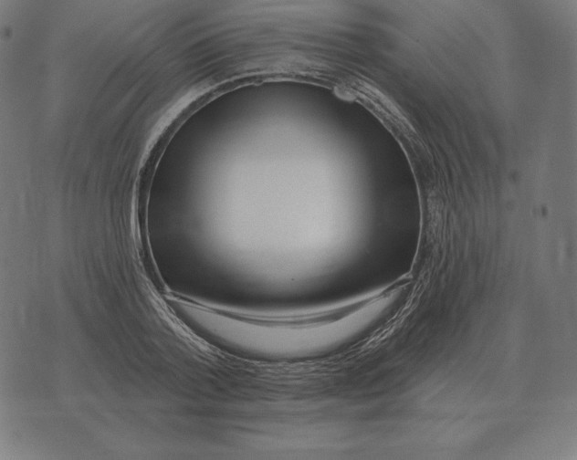 X0000073540788200608211853