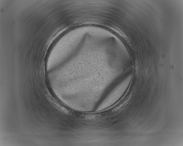 X0000073540790200608211853