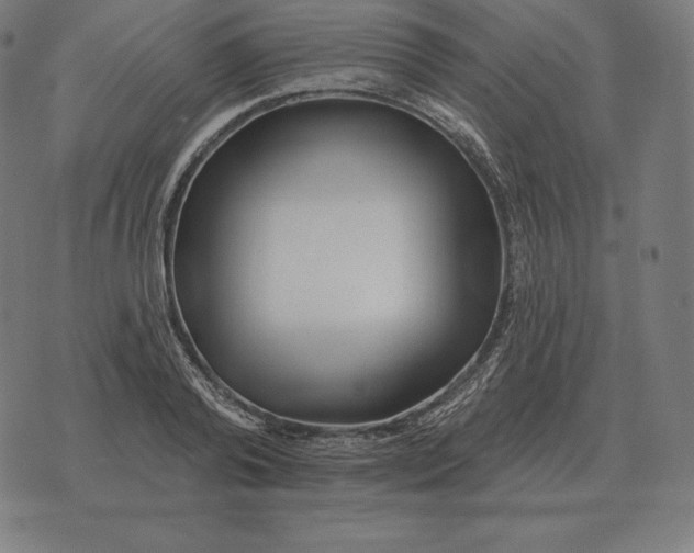 X0000073540792200608211853