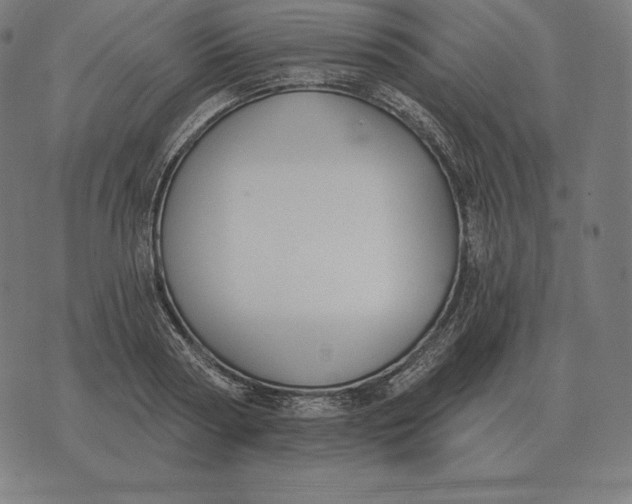 X0000073540794200608211853