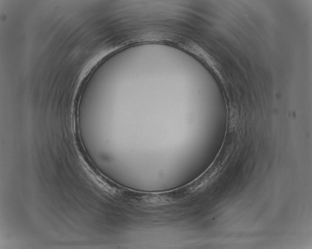 X0000073540795200608211853