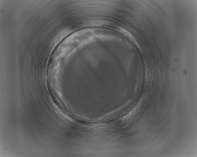 X0000073540802200608211853